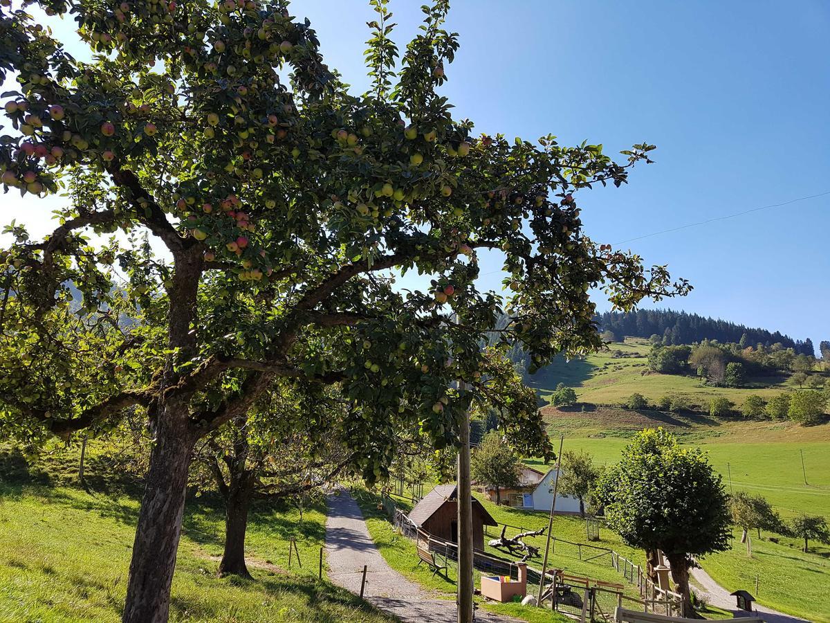 Maierhof Villa Oberried  Bagian luar foto